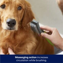 Frisco Self-Cleaning Slicker Dog Brush 10 Frisco Self-Cleaning Slicker Dog Brush -WoofyPlay Store 206863 PT5. AC SS1800 V1680186156