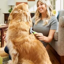 Frisco Shedding Rake Dog & Cat Brush -WoofyPlay Store 206871 PT6. AC SS1800 V1680186390