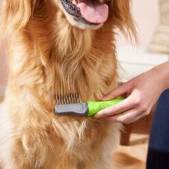 Frisco Dematting Dog Rake, One Size 8 Frisco Dematting Dog Rake, One Size -WoofyPlay Store 206873 PT6. AC SS1800 V1680186104