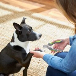 Frisco Dog Nail Trimmer 6 Frisco Dog Nail Trimmer -WoofyPlay Store 206877 PT4. AC SS1800 V1680186157