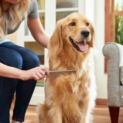 Frisco Metal Dog & Cat Comb -WoofyPlay Store 206882 PT6. AC SS1800 V1680186160