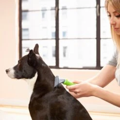 Frisco Deshedding Dog & Cat Brush 9 Frisco Deshedding Dog & Cat Brush -WoofyPlay Store 206892 PT6. AC SS1800 V1680186216