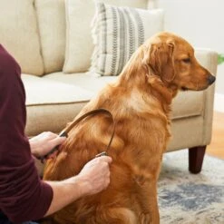 Frisco Shedding Blade Dog Brush, One Size -WoofyPlay Store 206895 PT6. AC SS1800 V1680186099