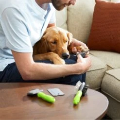 Frisco Beginner Grooming Kit For Dogs And Cats -WoofyPlay Store 206909 PT7. AC SS1800 V1680186156