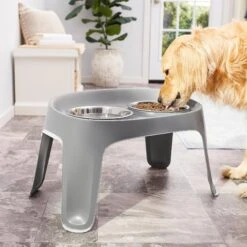 Frisco Elevated Dog Diner -WoofyPlay Store 213426 PT3. AC SS1800 V1583167385