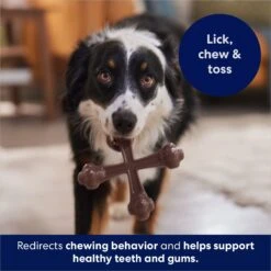 Frisco Bacon Flavor Tough Nylon Dog Chew Toy 10 Frisco Bacon Flavor Tough Nylon Dog Chew Toy -WoofyPlay Store 213430 PT5. AC SS1800 V1691783968