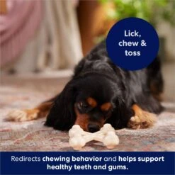 Frisco Chicken Flavor Tough Nylon Dog Chew Toy -WoofyPlay Store 213432 PT5. AC SS1800 V1691784031