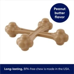 Frisco Peanut Butter Flavor Tough Nylon Dog Chew Toy -WoofyPlay Store 213436 PT2. AC SS1800 V1692019767