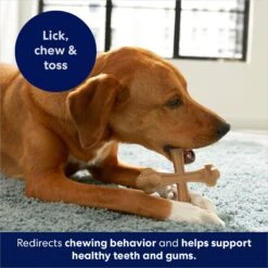 Frisco Peanut Butter Flavor Tough Nylon Dog Chew Toy -WoofyPlay Store 213436 PT5. AC SS1800 V1692019972