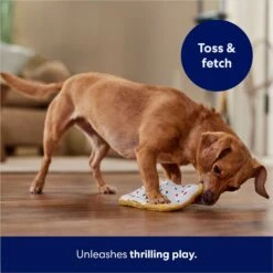 Frisco Frosted Pastry Stuffing-Free Flat Plush Squeaky Dog Toy -WoofyPlay Store 213812 PT5. AC SS1800 V1686579088