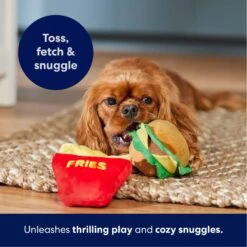 Frisco Burger & Fries Plush Squeaky Dog Toy -WoofyPlay Store 213822 PT3. AC SS1800 V1695241915