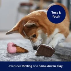 Frisco Ice Cream Sandwich & Ice Cream Cone Latex Squeaky Dog Toy -WoofyPlay Store 213840 PT3. AC SS1800 V1695242030