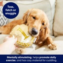 Frisco Gold Medal Round Plush Squeaky Dog Toy 7 Frisco Gold Medal Round Plush Squeaky Dog Toy -WoofyPlay Store 214082 PT6. AC SS1800 V1679069984