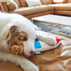 Frisco Summer Fun Plush & Rope Popsicle Dog Toy -WoofyPlay Store 214703 PT6. AC SS1800 V1597596505