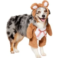 Frisco Front Walking Teddy Bear Dog & Cat Costume -WoofyPlay Store 215507 PT3. AC SS1800 V1624402415