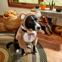 Frisco Front Walking Teddy Bear Dog & Cat Costume -WoofyPlay Store 215507 PT8. AC SS1800 V1689628224