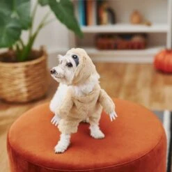 Frisco Front Walking Sloth Dog & Cat Costume -WoofyPlay Store 215539 PT8. AC SS1800 V1599141353