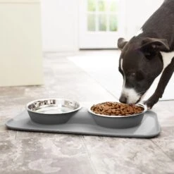 Frisco Heavy Duty Non-Skid Silicone Diner -WoofyPlay Store 215979 PT6. AC SS1800 V1599089765