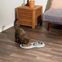 Frisco Double Stainless Steel Pet Bowl With Silicone Mat 14 Frisco Double Stainless Steel Pet Bowl With Silicone Mat -WoofyPlay Store 215986 PT6. AC SS1800 V1605657710