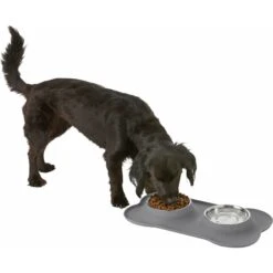 Frisco Silicone Stainless Steel Double Diner Dog & Cat Bowl -WoofyPlay Store 215990 PT5. AC SS1800 V1605662218