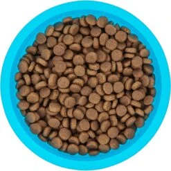 Frisco Plastic Suction Bowl, Blue -WoofyPlay Store 216037 PT4. AC SS1800 V1591020655