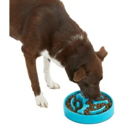 Frisco Bone Shaped Ridges Slow Feed Bowl -WoofyPlay Store 216041 PT6. AC SS1800 V1605664049