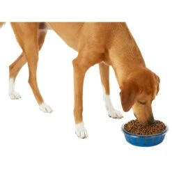 Frisco Chevron Design Glass Bowl With Silicone Sleeve 11 Frisco Chevron Design Glass Bowl With Silicone Sleeve -WoofyPlay Store 216049 PT6. AC SS1800 V1605654757