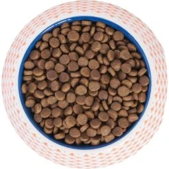 Frisco Southwest Melamine Bowl 11 Frisco Southwest Melamine Bowl -WoofyPlay Store 216064 PT4. AC SS1800 V1591021009