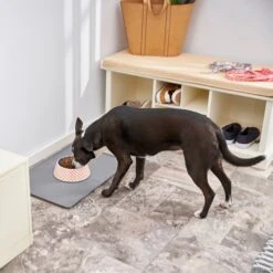 Frisco Southwest Melamine Bowl 13 Frisco Southwest Melamine Bowl -WoofyPlay Store 216064 PT7. AC SS1800 V1605653262