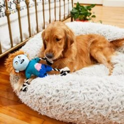 Frisco Zombie Boy Plush With Rope Squeaky Dog Toy -WoofyPlay Store 218569 PT6. AC SS1800 V1597599376