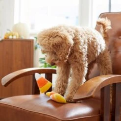 Frisco Halloween Candy Corn Plush Squeaky Dog Toy -WoofyPlay Store 218619 PT6. AC SS1800 V1597599676