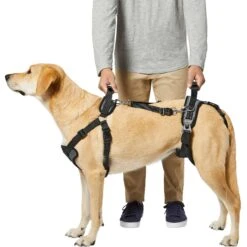 Frisco Front & Rear Lift Handicapped Support Dog Harness 9 Frisco Front & Rear Lift Handicapped Support Dog Harness -WoofyPlay Store 220372 PT5. AC SS1800 V1605749597