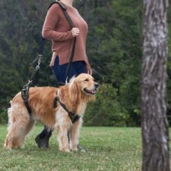 Frisco Front & Rear Lift Handicapped Support Dog Harness 11 Frisco Front & Rear Lift Handicapped Support Dog Harness -WoofyPlay Store 220372 PT7. AC SS1800 V1605738439
