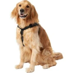 Frisco Nylon Step In Back Clip Dog Harness 7 Frisco Nylon Step In Back Clip Dog Harness -WoofyPlay Store 220519 PT2. AC SS1800 V1605591714