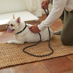 Frisco Reflective Rope Dog Leash -WoofyPlay Store 221214 PT4. AC SS1800 V1602862582