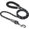 Frisco Rope Dog Leash With Padded Handle