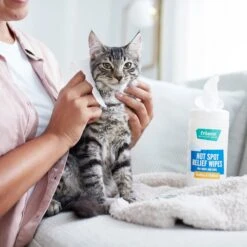 Frisco Hot Spot Relief Wipes -WoofyPlay Store 222163 PT2. AC SS1800 V1602831392