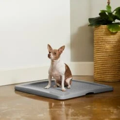 Frisco Training Pad Holder 10 Frisco Training Pad Holder -WoofyPlay Store 227474 PT6. AC SS1800 V1604701643