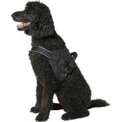 Frisco Big Dog Harness -WoofyPlay Store 227877 PT4. AC SS1800 V1600307761