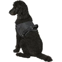Frisco Big Dog Harness -WoofyPlay Store 227877 PT5. AC SS1800 V1600307758