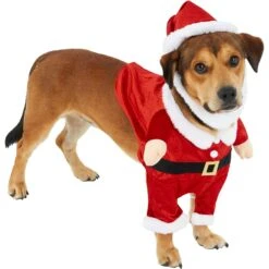 Frisco Front Walking Santa Dog & Cat Costume, 1 Count -WoofyPlay Store 228785 PT3. AC SS1800 V1631300866