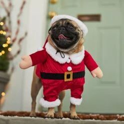 Frisco Front Walking Santa Dog & Cat Costume, 1 Count -WoofyPlay Store 228785 PT7. AC SS1800 V1601560869