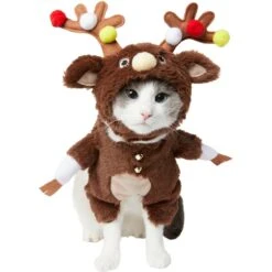 Frisco Front Walking Reindeer Dog & Cat Costume, 1 Count