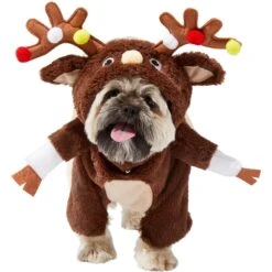 Frisco Front Walking Reindeer Dog & Cat Costume, 1 Count -WoofyPlay Store 228790 PT2. AC SS1800 V1636731101