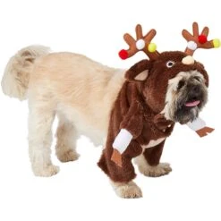 Frisco Front Walking Reindeer Dog & Cat Costume, 1 Count -WoofyPlay Store 228790 PT3. AC SS1800 V1631299657