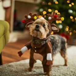 Frisco Front Walking Reindeer Dog & Cat Costume, 1 Count -WoofyPlay Store 228790 PT7. AC SS1800 V1636743685