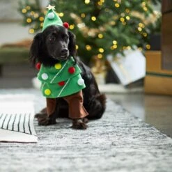 Frisco Front Walking Christmas Tree Dog & Cat Costume -WoofyPlay Store 229164 PT7. AC SS1800 V1601385981