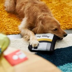 Frisco Retro Floppy Disc Ballistic Nylon Plush Squeaky Dog Toy -WoofyPlay Store 230304 PT3. AC SS1800 V1602639753