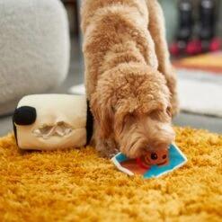 Frisco Retro Camera 2-in-1 Rip For Surprise Plush Squeaky Dog Toy -WoofyPlay Store 230306 PT3. AC SS1800 V1602639779