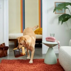 Frisco Retro Television Ballistic Nylon Plush Squeaky Dog Toy 5 Frisco Retro Television Ballistic Nylon Plush Squeaky Dog Toy -WoofyPlay Store 230308 PT3. AC SS1800 V1601947325